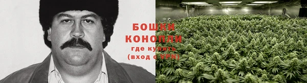 гашишное масло Алзамай