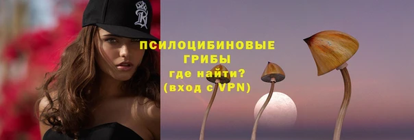 PSILOCYBIN Алексин