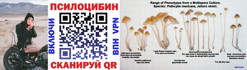 Псилоцибиновые грибы MAGIC MUSHROOMS  цены   Лагань 
